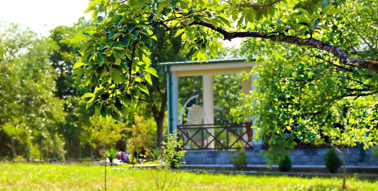Villa Rokiti Extérieur photo